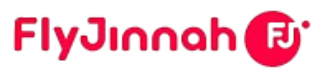 Airline Logo